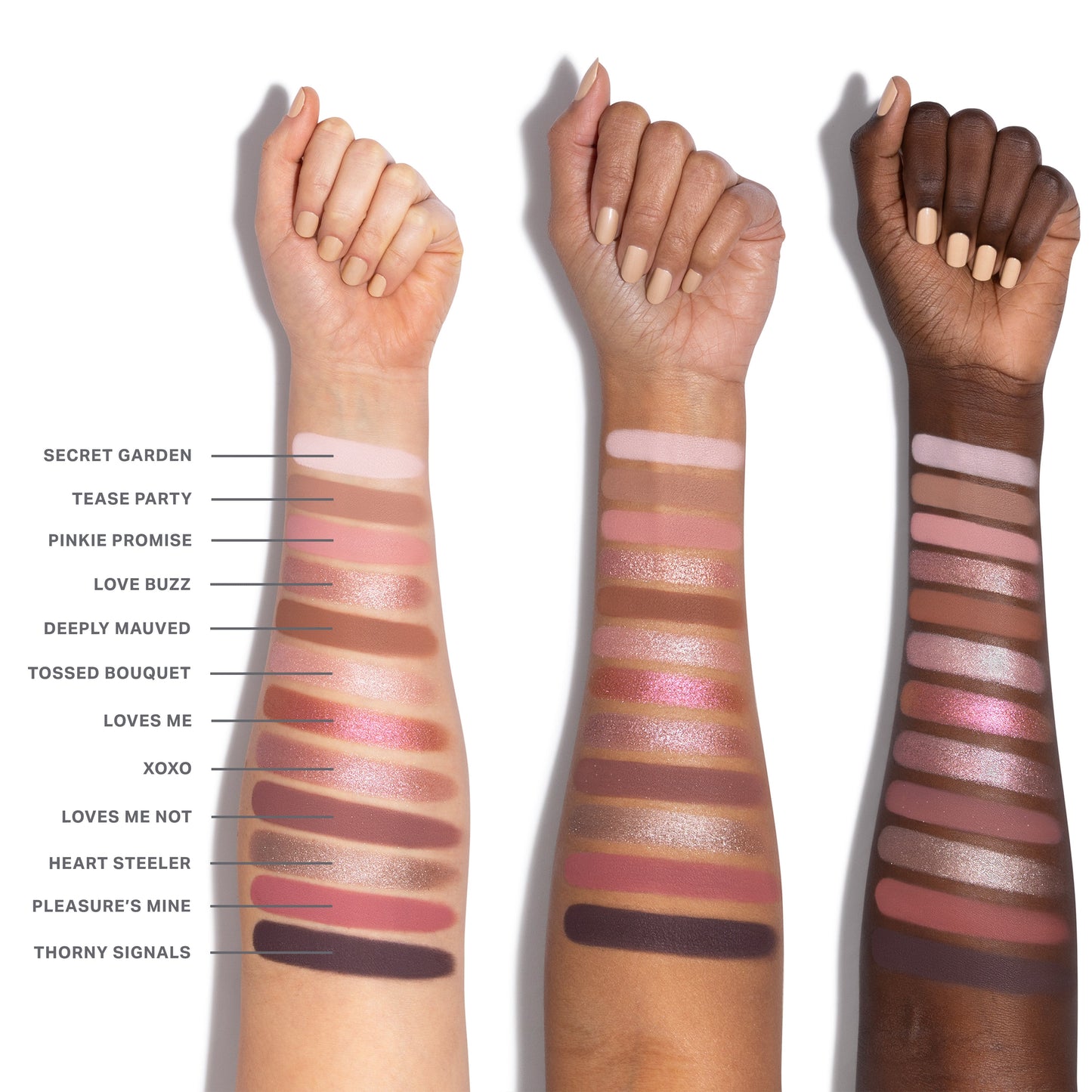 ChromaPlus 12-Pan Eyeshadow Palette