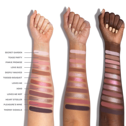 ChromaPlus 12-Pan Eyeshadow Palette