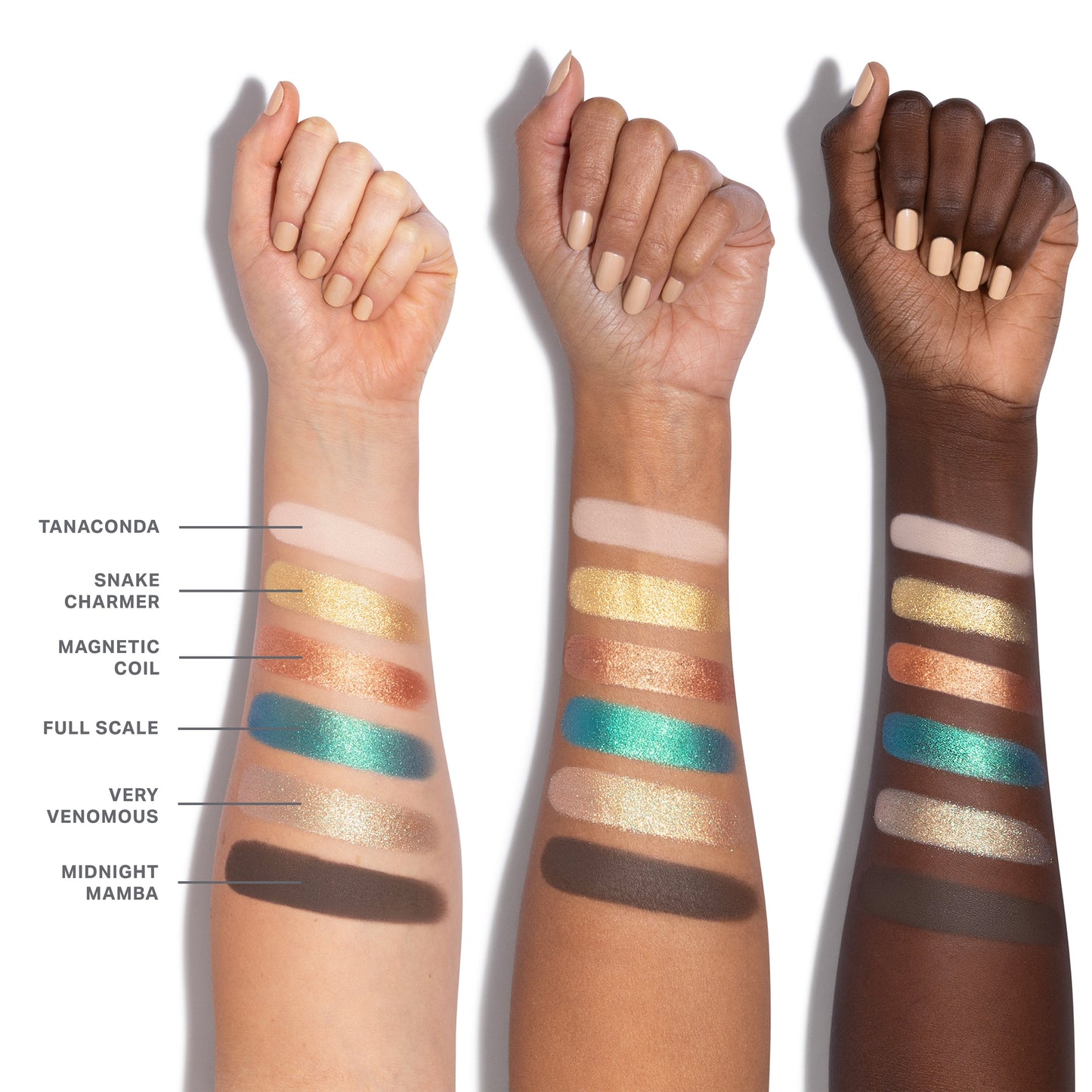 ChromaPlus 6-Pan Eyeshadow Palette