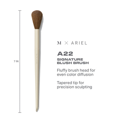 Morphe X Ariel A22 Blush Brush