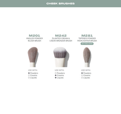 Ready, Set, Pro 16-Piece Face & Eye Brush Set