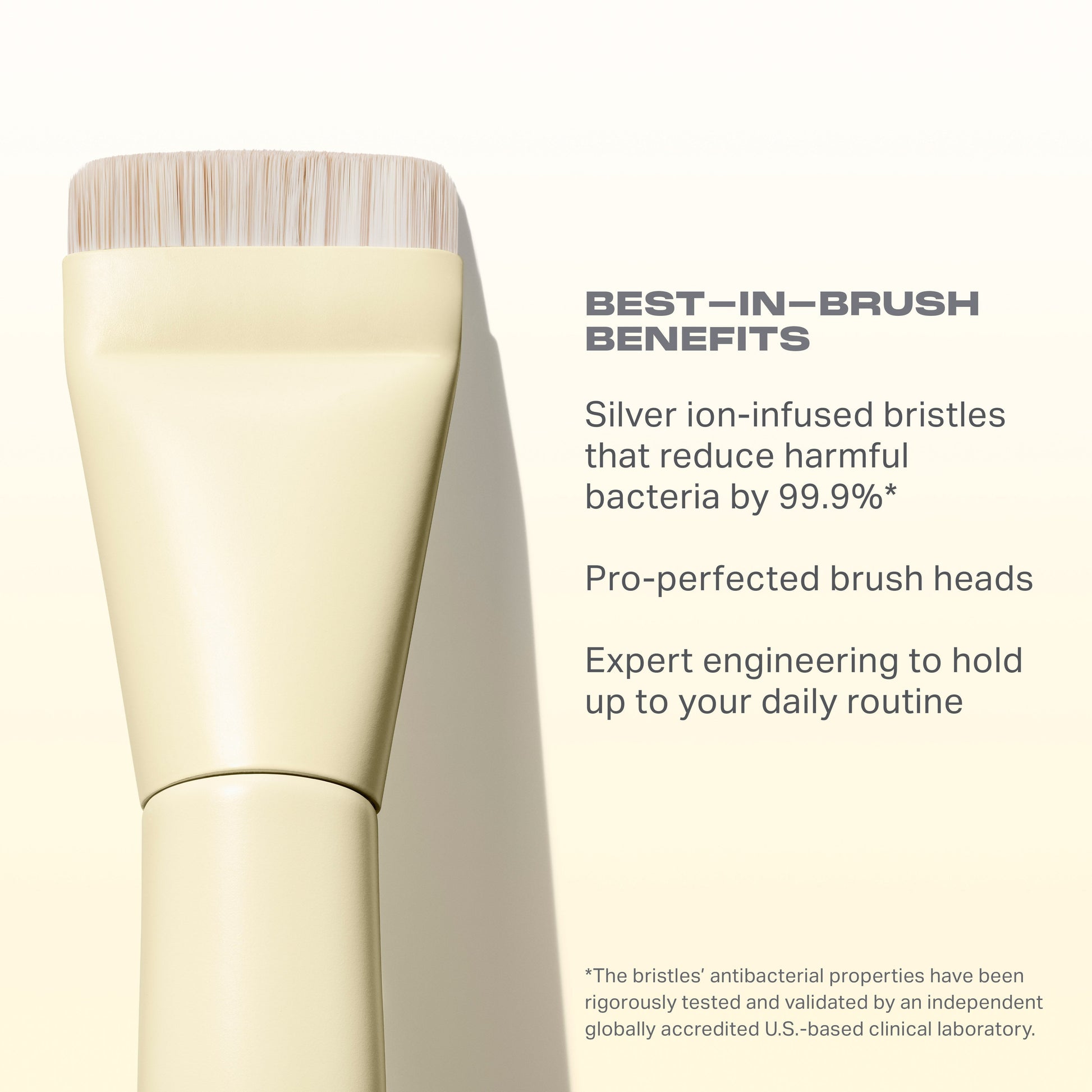 Buttery Blends M104 Domed Foundation Brush